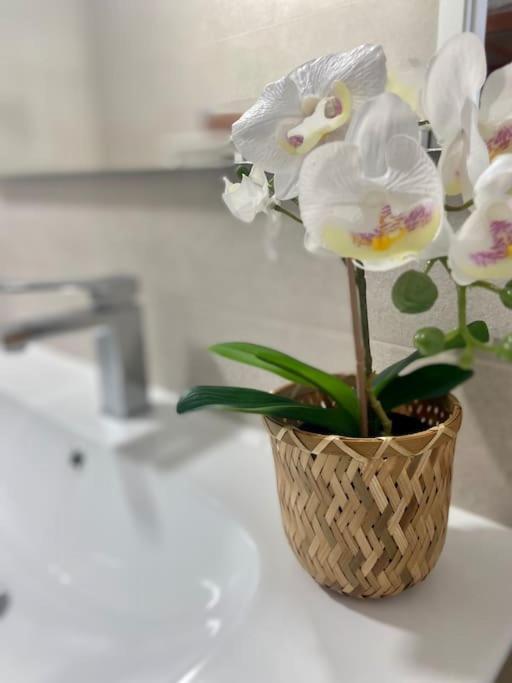Apartamento Precioso Loft En Caion Rocha, Sobre La Arena Y El Mar Cayón  Exterior foto